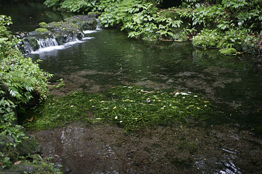 _MG_9215.JPG
